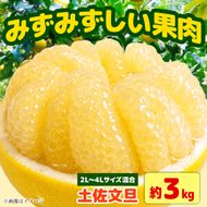 【先行予約】土佐文旦 大玉 家庭用 約3kg（2L～4Lサイズ混合：5玉～9玉） 数量限定 文旦 ぶんたん ブンタン 3キロ 柑橘 フルーツ 果物 ご当地 お取り寄せ 土佐 高知＜2027年1月中旬～順次発送＞【玉木農園】