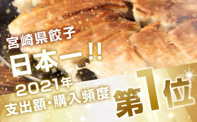 ＜たかなべギョーザ 冷凍ギョーザ 30個 計600g＞2ヶ月以内に順次出荷 餃子 ぎょうざ ギョウザ 惣菜 冷凍 おかず 宮崎県 高鍋町
