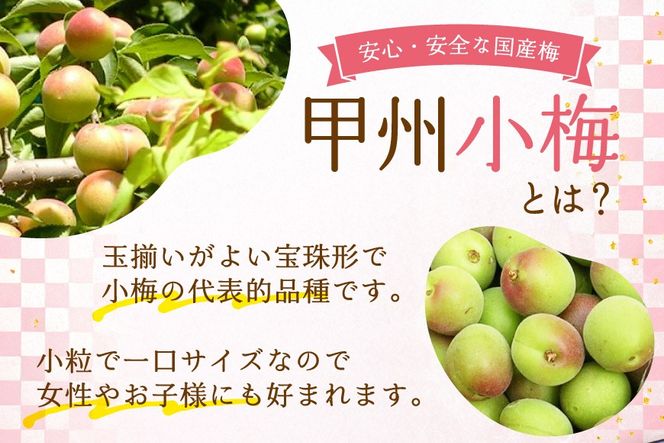 【やばいだろ】粋な小梅 2粒×60 計120粒 [山梨農産食品 山梨県 韮崎市 20743177] 梅干し 梅干 うめぼし 梅 小粒 小梅 カリカリ梅 国産 個包装