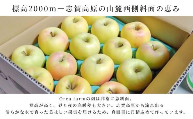 【2026年10月～発送】ぐんま名月 家庭用 約5kg りんご リンゴ 林檎 果物 フルーツ 長野県 長野 山ノ内町