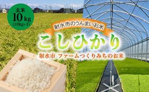 【射水市】【射水の美味しいお米】ファームつくりみちのお米 作道米 R8年度産こしひかり10kg（10kg×1）【玄米】 | 米 こめ コメ こしひかり ブランド米 銘柄米 人気 ランキング 富山 富山米 北陸 北陸米 富山コシヒカリ 北陸コシヒカリ 玄米コシヒカリ 10キロ 10キロ米 10kg 10kg米 ※離島への配送不可 ※2026年9月中旬～10月上旬頃に順次発送予定