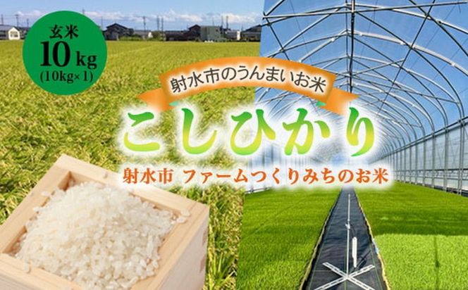 【射水市】【射水の美味しいお米】ファームつくりみちのお米 作道米 R8年度産こしひかり10kg（10kg×1）【玄米】 | 米 こめ コメ こしひかり ブランド米 銘柄米 人気 ランキング 富山 富山米 北陸 北陸米 富山コシヒカリ 北陸コシヒカリ 玄米コシヒカリ 10キロ 10キロ米 10kg 10kg米 ※離島への配送不可 ※2026年9月中旬～10月上旬頃に順次発送予定