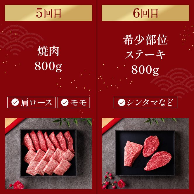 肉【定期便全6回】【和牛セレブ】能登牛 定期便「ファーストクラス」特選 しゃぶしゃぶ すき焼き 焼肉 ステーキ ギフト 石川県 能美市 172111_DB046