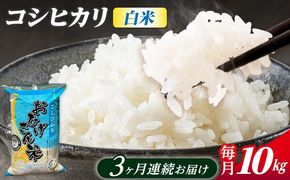 【3回定期便】コシヒカリ 白米 10kg×3か月 / 脇野コンバイン[AECP027]
