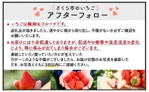 新旧2種食べ比べセット（とちおとめ、とちあいか）270g×4パック