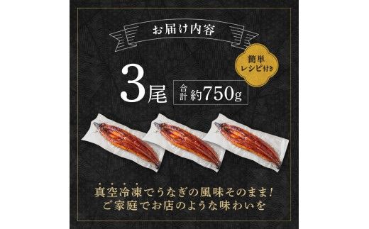 うなぎ蒲焼き3尾 計750g以上(250g以上×3尾)【魚住商店】_HA2102 うなぎ 鰻 蒲焼 真空パック 福岡県宗像市 宗像市 福岡 宗像