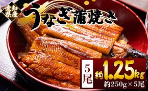 国産蒲焼きうなぎ ２５０ｇ ５尾 計１２５０ｇ fb-0170