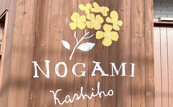 こがね町プリン8個 北海道 滝川市 プリン ぷりん スイーツ おやつ  オヤツ お菓子 おかし 菓子 デザート