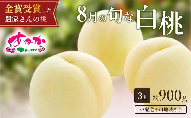 桃 2026年 先行予約 8月の旬な 白桃 をお届け！3玉 約900g 糖度センサー選果 糖度12度以上 もも モモ 岡山県 赤磐市産 国産 フルーツ 果物 ギフト あみかフルーツ