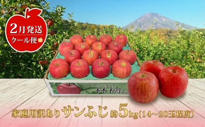 【2月発送】白熊 訳あり家庭用 サンふじ 約5kg 糖度13度【青森りんご 果物 フルーツ 食後 デザート シャキシャキ ジューシー りんごの王様 】
