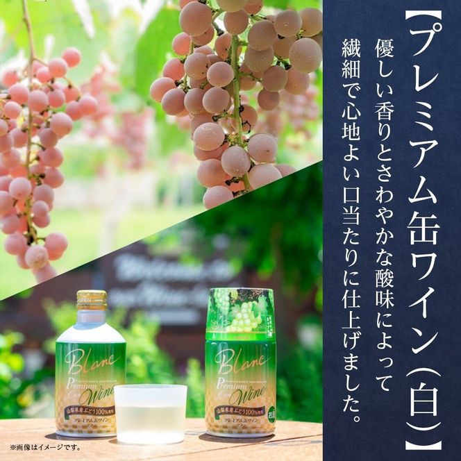 缶ワイン 白 2種 飲み比べ プレミアム缶ワイン プティモンテリアブラン 各300ml×3本 計6本 モンデ酒造 白ワイン 酒 お酒 贈答 ギフト 晩酌 宅飲み 家飲み キャンプ BBQ バーベキュー パーティー アウトドア 送料無料 山梨県 笛吹市  177-4-170