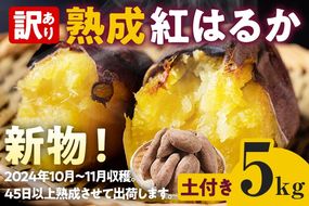 訳あり 熟成 紅はるか 5kg さつまいも 芋 サツマイモ 土付き サイズ色々 サイズ不揃い 九州産 焼き芋 やきいも 甘い デザート スイートポテト 生芋 おやつ デザート 野菜 いも【2024年12月以降順次発送】