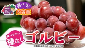 ＼ 選べる内容量 ／ゴルビー 約1.3kg(約2房) / 約2kg(約4房) / 約5kg(約8～12房)【2026年9月より発送開始】（茨城県共通返礼品 [ぶどう]：結城市産） ぶどう 赤ぶどう 高級 希少品種 大粒 甘い 果物 フルーツ 旬