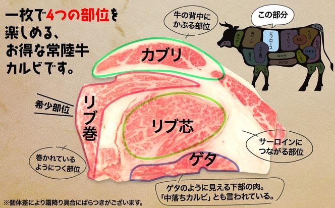 K2469 【常陸牛】ハミデルカルビ 500g (3～5枚) 〈茨城県共通返礼品〉