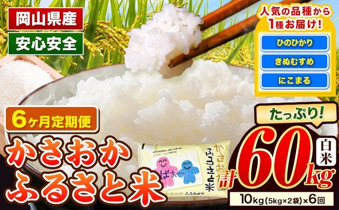 yR}szyߘa8N1?ߘa8N6zys\zߘa7NY 10kg×6  \ ӂ邳ƕ } lCi͂I Y qmqJ ɂ܂ ʂނ  uh ɂ ٓ Pꌴ   RY---R7-10k-6M-R0801-