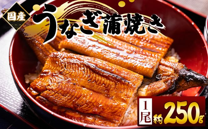 国産蒲焼きうなぎ ２５０ｇ １尾 fb-0166