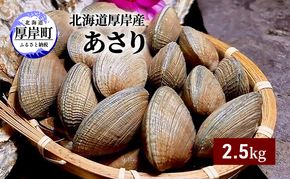 北海道 厚岸産 あさり 2.5kg 海産物 海の幸 味が濃い 貝類 貝 みそ汁 酒蒸し アサリバター 食材 食べ物 パスタ 
