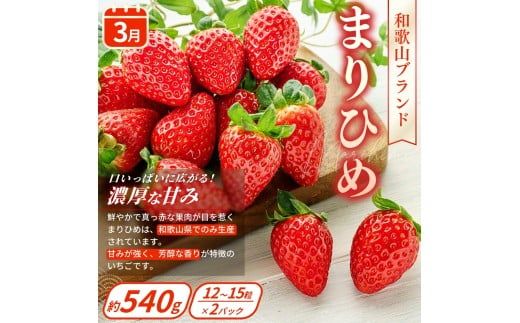 【フルーツ定期便・全4回】品質に自信あり！くしがきの里から直送　桃・シャインマスカット・はれひめ・まりひめを季節ごとにお届け♪ / 定期便 桃 もも みかん 柑橘 シャインマスカット マスカット いちご イチゴ 苺 果物 フルーツ 4回【kgr038】