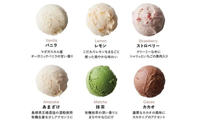 8ablish　The Vegan Ice Cream 6個セット