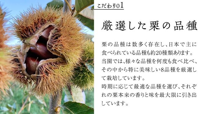 厳選 生和栗 2kg 【庄七農園】 栗 果樹 生栗 栗ご飯 渋皮煮 甘露煮 マロングラッセ フルーツ 茨城県 和栗  [BK41-NT]
