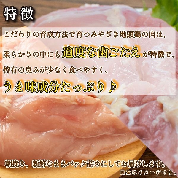 【宮崎ブランド地鶏】朝挽き ”みやざき地頭鶏” もも・むねおためしセット 約1kg（国産 鶏 鶏肉 地頭鶏 モモ ムネ 焼肉 BBQ）