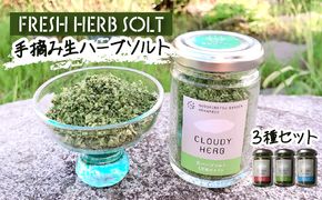 限定生産！手摘み生ハーブソルト詰め合わせ