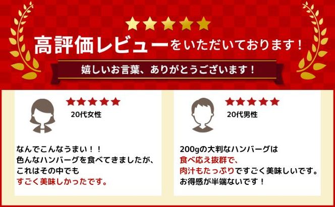 北海道 十勝牛 手ごねハンバーグ 200g×3個【 セット 牛100% 国産牛 牛肉 ハンバーグ 惣菜 小分け 冷凍 牛肉100% 大きい 国産 北海道 十勝 幕別 ふるさと納税 送料無料 】