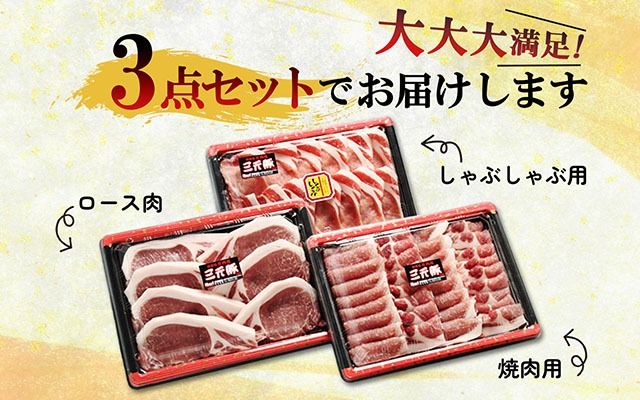 ブランド豚「庄内三元豚」3点セット（計1.5kg）