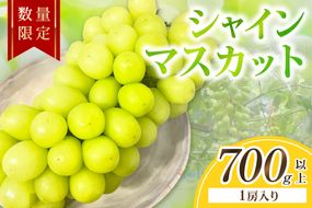 【先行予約／数量限定50】シャインマスカット 700g以上（1房入り）（2026年9月上旬～発送）　FK00016