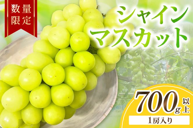 ys{Oszys\^ʌ50zVC}XJbg 700gȏi1[ji2026N9{`j@FK00016