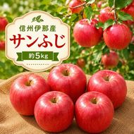 【先行受付】信州伊那産 りんご サンふじ 約5kg 【11月上旬頃から順次発送予定】｜りんご リンゴ 林檎 果物 くだもの サンふじ 伊那市 長野県 信州 【014-64】