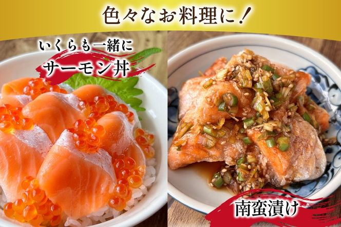 訳あり 無添加 ノルウェー産 アトランティックサーモン 大トロ 生食用 総重量400g 3-5p入 [足利本店 宮城県 気仙沼市 20565176] サーモン さけ サケ 鮭 魚介類 鮭 お刺し身 刺し身 刺身 個包装 海鮮 海鮮丼 魚介 魚 個包装 小分け 冷凍 真空包装 ノルウェー トロ