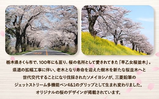 【数量限定】さくら市オリジナル「ジェットストリーム多機能ペン4&1」｜三菱鉛筆　ジェットストリーム　桜　サクラ　ソメイヨシノ　桜並木　文房具　栃木県　合格祈願　プレゼント