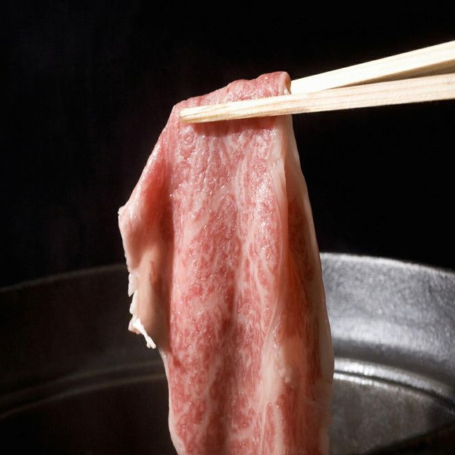 【武尊セレクト鳥取和牛 レジェンドセット】牛もも・ロース 約400g 312011_CV016