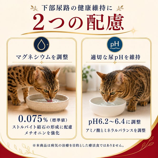 ビューティープロ キャット 下部尿路の健康維持 1歳から 2.7kg ｘ4(ケース単位) キャットフード