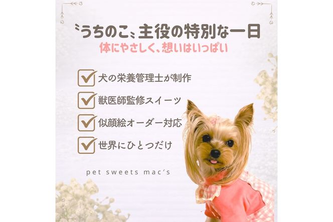 犬の栄養管理士がつくる うちの子ペットケーキ 3号 ( 似顔絵 デコレーション 犬用 ケーキ 犬用ケーキ 3号 犬 いぬ )【232-0001】