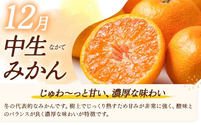 みかん 定期便 秀品 温州みかん 3ヶ月 選べる 内容量 計9kg 計15kg 計30kg 日本フルーツ株式会社《10月上旬-12月末頃出荷》熊本県 長洲町 ミカン 蜜柑 柑橘類 極早生 早生 中生 果物 フルーツ---sn_nfumtei_23000_mini_oct3---