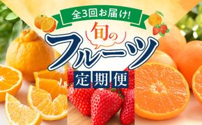 【定期便 全3回】紀州和歌山産旬のフルーツ定期便（田村みかん、いちご、紀州デコ）_G60-T77