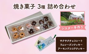 十勝カルメル会シスターが真心こめて作った 焼き菓子 3種 詰め合わせ（サクサク・ラムレーズンクッキー・アーモンドココアクッキー）【 ギフト プチギフト お菓子 お返し 北海道 十勝 幕別 クッキー 】
