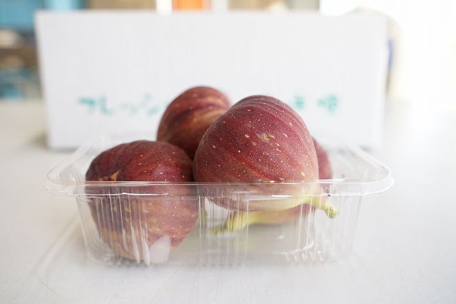 【ハウス栽培】朝もぎ フレッシュな完熟いちじく 碧南市 にいみ農園 フルーツ いちじく トマト農家 H031-006