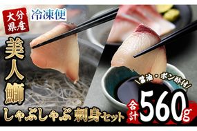 大分県産 美人鰤 刺身・しゃぶしゃぶセット (合計560g・刺身100g×2皿、しゃぶしゃぶ180g×2皿、醤油ダレ30ml×2個、ポン酢30ml×2個) 鰤 ブリ 鮮魚 冷凍 養殖 国産 大分県 佐伯市 【GO009】【水元】
