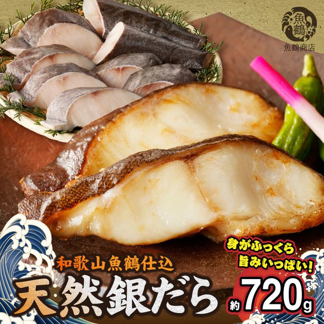 G7334_和歌山魚鶴仕込みのだし漬け天然銀だら切身8切（真空パック入） 約720g 小分け 独自製法 良質な脂 ふっくら 柔らかい 身質 甘み 旨味 白身魚のトロ 梅酒 北海道南産 真こんぶ だし漬け 煮付け ムニエル 味噌漬け 鍋物 冷凍 湯浅町 送料無料