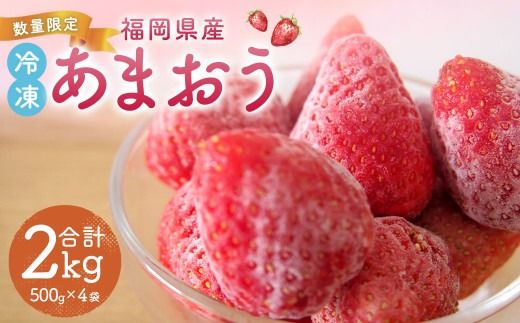 【数量限定】 福岡県産 あまおう 冷凍 約2kg 500g×4袋 【2025年4月下旬-11月下旬発送予定】特別栽培 いちご 苺 イチゴ ベリー 果物 フルーツ お取り寄せ デザート おやつ