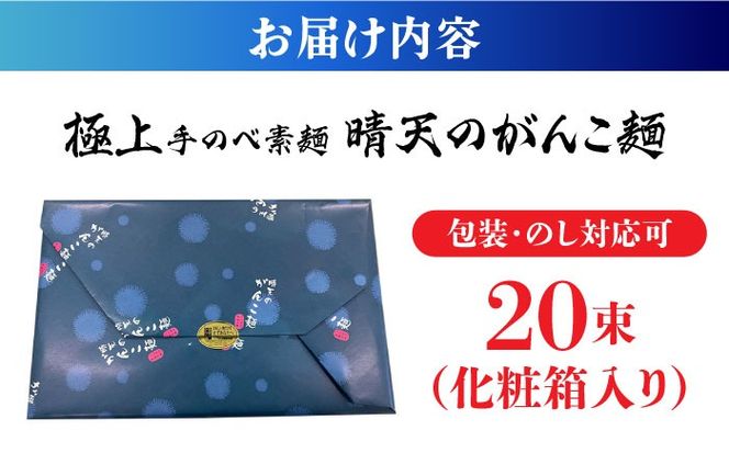 極上手のべ素麺「晴天のがんこ麺」50g×20束入 1kg / そうめん 島原そうめん 手延べ 麺 素麺 / 南島原市 / 入江商店素麺本舗[SFX001]