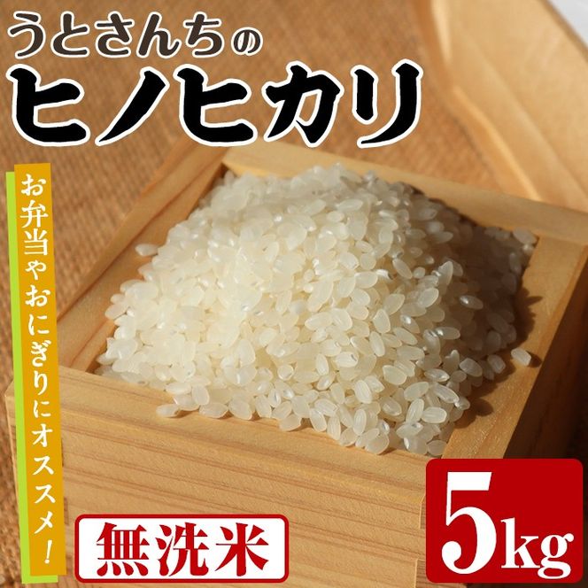 無洗米 ヒノヒカリ (5kg) 国産 米 お米 コメ 白米 ひのひかり ごはん ご飯 お弁当 おにぎり 【うとさんち】akn067-19