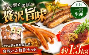『ハム贅沢セット』 豚肉 ポークステーキ ソーセージ ハム 詰め合わせ お取り寄せ 国産 ギフト 冷凍 沖縄市 / DELICATESSEN NUCHIBUTA [BCAR007]