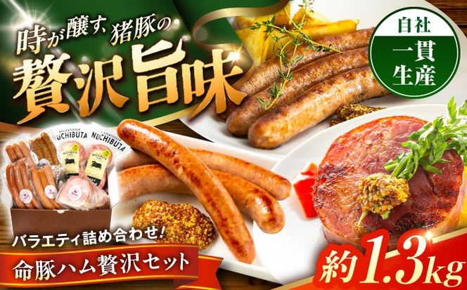『ハム贅沢セット』 豚肉 ポークステーキ ソーセージ ハム 詰め合わせ お取り寄せ 国産 ギフト 冷凍 沖縄市 / DELICATESSEN NUCHIBUTA [BCAR007]