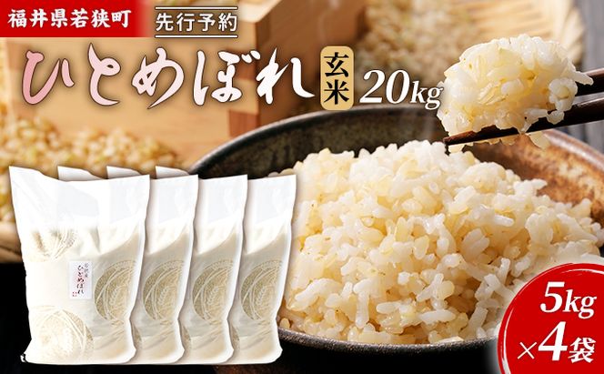 【10月お届け】令和8年産 若狭町玄米ヒトメボレ20kg 米 お米 ひとめぼれ 福井県