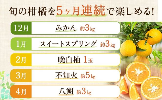 柑橘 柑橘定期便  森田果樹園 《12月上旬-4月末頃出荷》 熊本県 氷川町 柑橘 定期便 みかん スイートスプリング 晩白柚 不知火 八朔 果物 フルーツ 熊本県産---hkw_mtk_4_mo5---