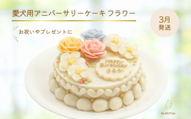 y{sz[3] [MyBESTiee] p Ajo[T[P[L t[ b Y RP[L pP[L a j Y wV[ ᎉb J[ Ajo[T[ v[g LO p[eB[   P[L  o[Xf[ P[L  